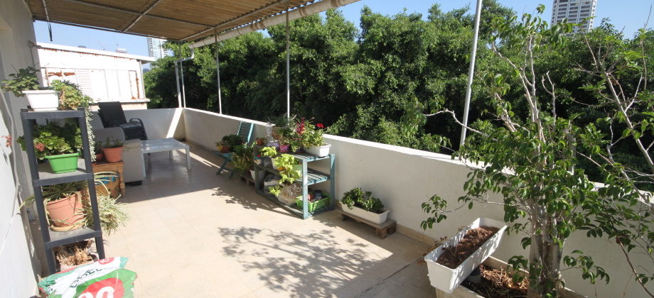 2.5 Pièces (4 ème étage) Arlozorov 60 + 30m² 2.5 Pièces (4 ème étage) Arlozorov 60 + 30m²