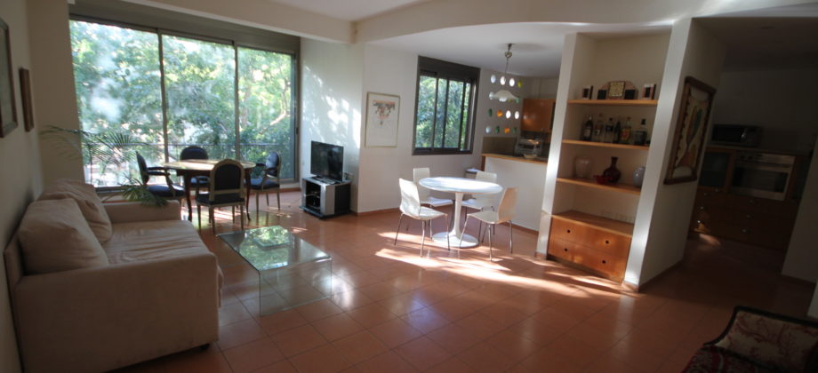 4 Pièces (2ème étage) Shlomo Hamelech 115m² 4 Pièces (2ème étage) Shlomo Hamelech 115m²