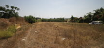 Moshav Agricole Ouest Netanya 28.000m²
