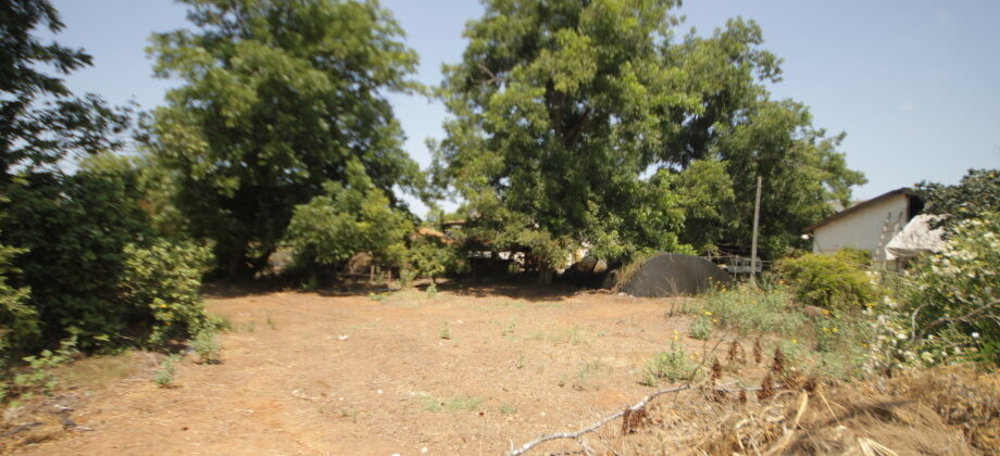 Terrain Agricole – Ouest Netanya – 28.000 m² Terrain Agricole – Ouest Netanya – 28.000 m²