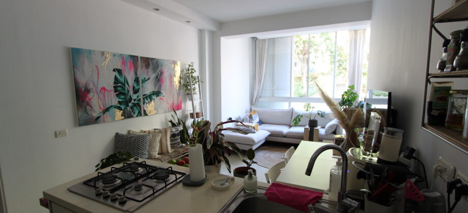 5 Pièces (1er étage) Shlomo Hamelech 97 m² 5 Pièces (1er étage) Shlomo Hamelech 97 m²